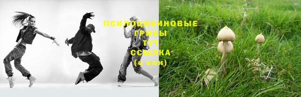 мескалин Балахна
