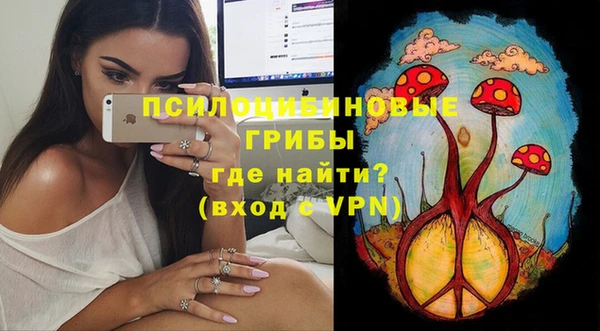PSILOCYBIN Белоозёрский