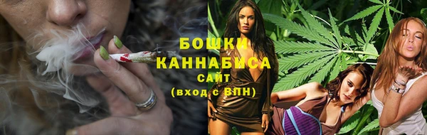 PSILOCYBIN Белоозёрский