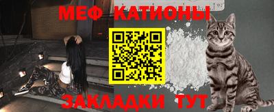 стаф Дубна