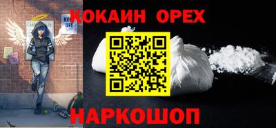 стаф Дубна