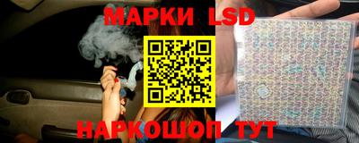 стаф Дубна