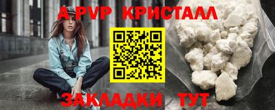 стаф Дубна