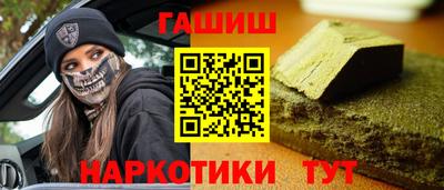 стаф Дубна