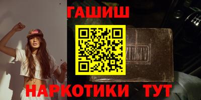 стаф Дубна