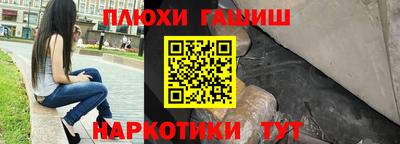 стаф Дубна